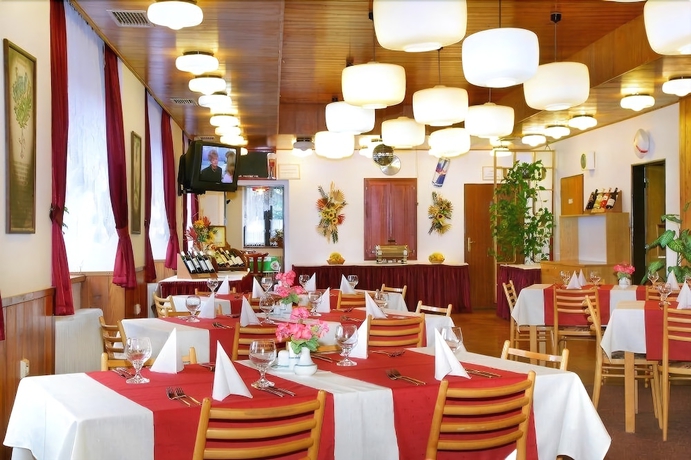 Imagen del bar/restaurante del Hotel Diana, HRADEC KRALOVE. Foto 7