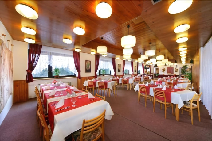 Imagen del bar/restaurante del Hotel Diana, HRADEC KRALOVE. Foto 8