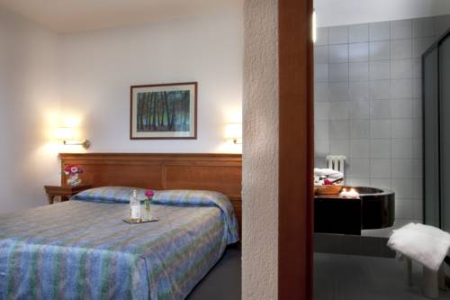 Imagen de la habitación del Hotel Diana Jardin Et Spa. Foto 10