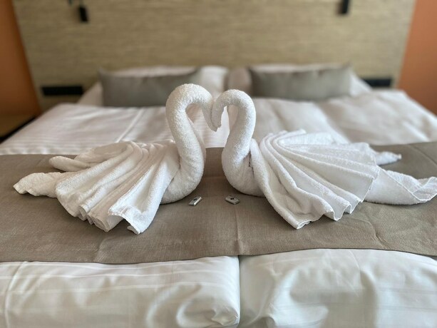 Imagen general del Hotel Diana, Karviná. Foto 7