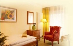 Imagen general del Hotel Diana Kurhotel. Foto 5