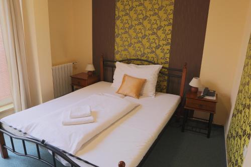 Imagen de la habitación del Hotel Diana, Nov&eacute; Mesto nad V&aacute;hom. Foto 6