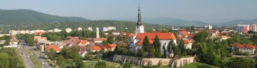 Imagen general del Hotel Diana, Nov&eacute; Mesto nad V&aacute;hom. Foto 4