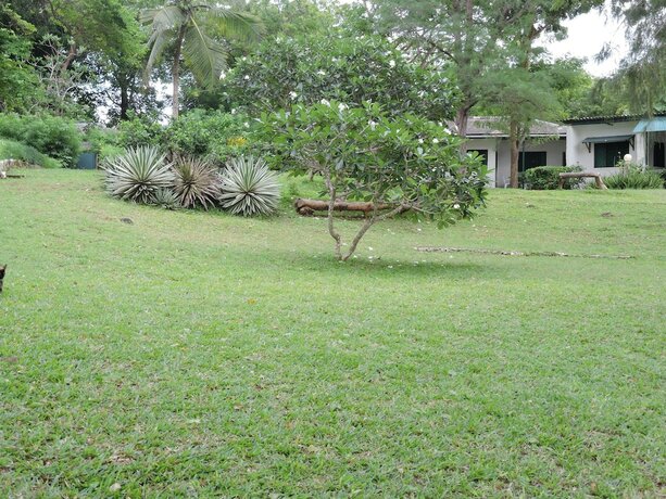 Imagen general del Hotel Diani Beachalets. Foto 13