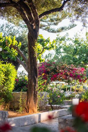 Imagen general del Hotel Dias by Azul Collection. Foto 8