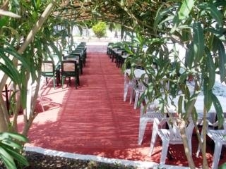 Imagen del Hotel Didyma House. Foto 2