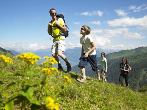 Imagen general del Hotel Die Monika. Foto 7