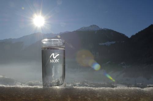 Imagen general del Hotel Die Monika. Foto 19