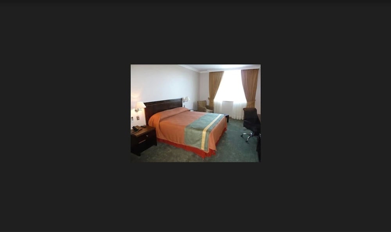 Imagen de la habitación del Hotel Diego Almagro Lomas Verdes. Foto 10