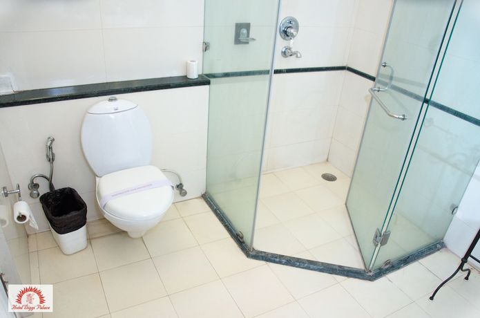 Imagen de la habitación del Hotel Diggi Palace. Foto 7