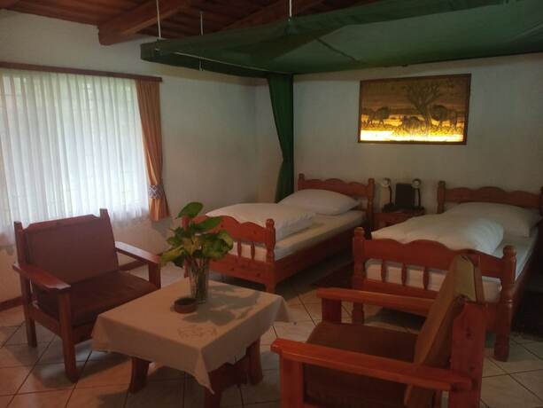 Imagen de la habitación del Hotel Dik Dik. Foto 15