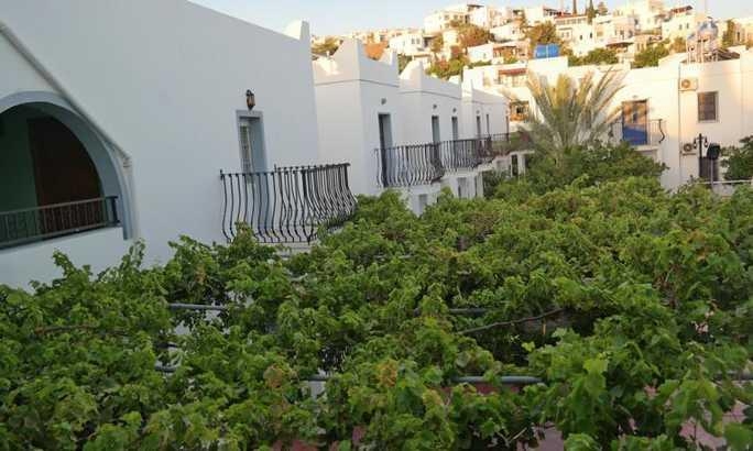 Imagen general del Hotel Dilek. Foto 1