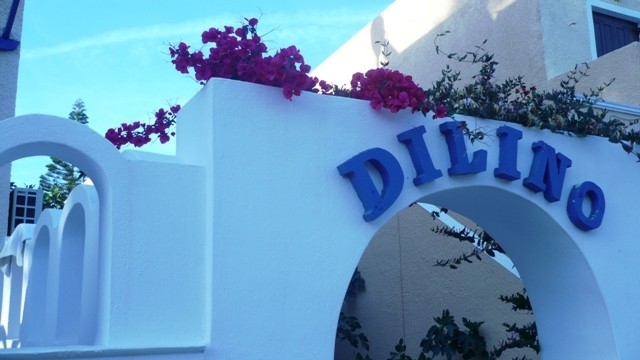 Imagen de los exteriores del Hotel Dilino. Foto 4