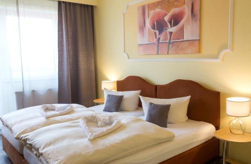 Imagen general del Hotel Dillinger Hof. Foto 2