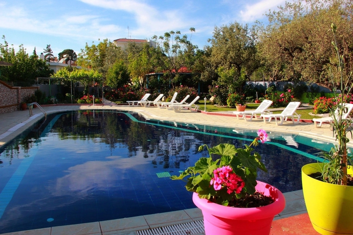 Imagen de la piscina del Hotel Dimitra Sun. Foto 18