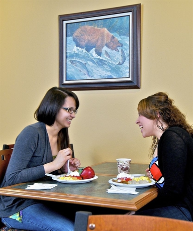 Imagen del bar/restaurante del Hotel Dimond Center. Foto 2