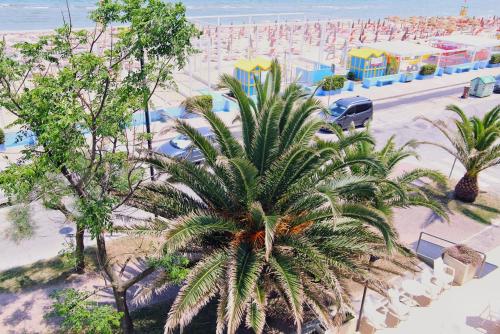 Imagen general del Hotel Dinarica. Foto 4