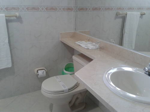 Imagen de la habitación del Hotel Dinastia Real. Foto 6