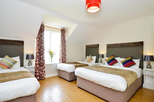 Imagen de la habitación del Hotel Dingle Harbour Lodge B&B. Foto 9