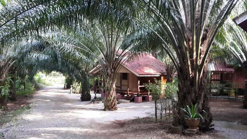 Imagen general del Hotel Dion Forest Resort. Foto 12