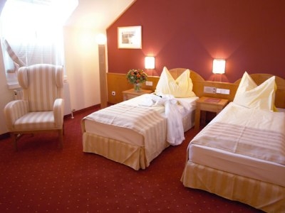 Imagen de los interiores del Hotel Dion Villach. Foto 4