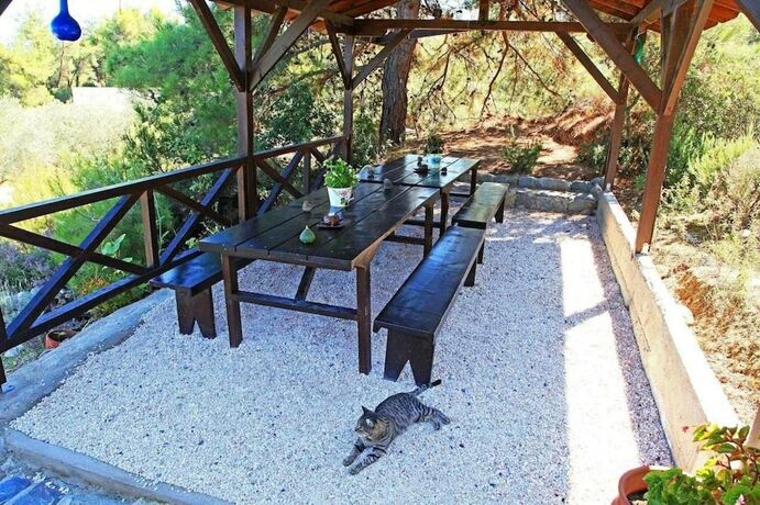 Imagen general del Hotel Dionysos Apartments. Foto 10