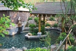 Imagen de la piscina del Hotel Dipai Hotspring Resort. Foto 9