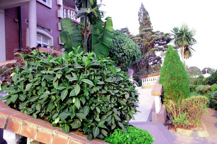 Imagen general del Hotel Diplomat Apartment Kacyiru. Foto 8