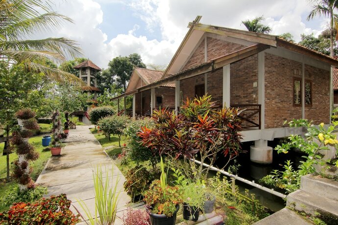 Imagen general del Hotel Disaster Oasis Training Center. Foto 3