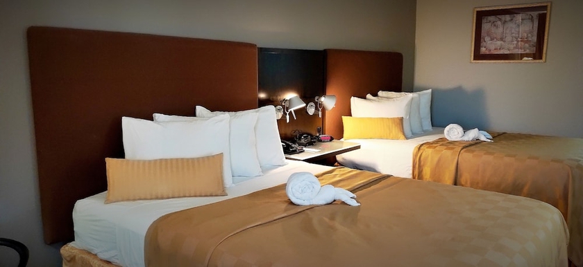 Imagen de la habitación del Hotel Discovery Inn, Walroy. Foto 6