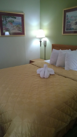Imagen de la habitación del Hotel Discovery Inn, Walroy. Foto 10