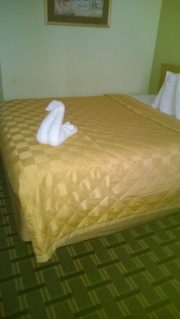 Imagen de la habitación del Hotel Discovery Inn, Walroy. Foto 11