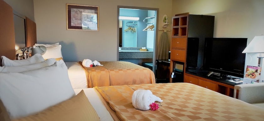 Imagen de la habitación del Hotel Discovery Inn, Walroy. Foto 12