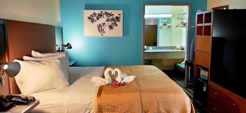 Imagen de la habitación del Hotel Discovery Inn, Walroy. Foto 13