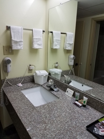 Imagen de la habitación del Hotel Discovery Inn, Walroy. Foto 18