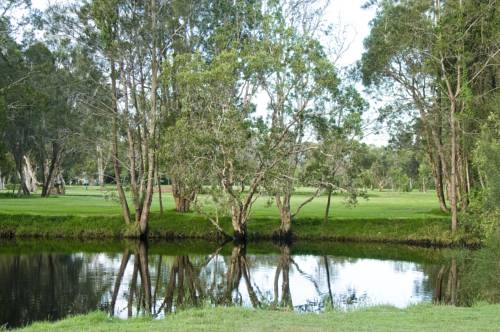 Imagen general del Hotel Discovery Parks - Byron Bay. Foto 10