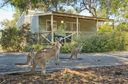 Imagen de la habitación del Hotel Discovery Parks - Pambula Beach. Foto 6