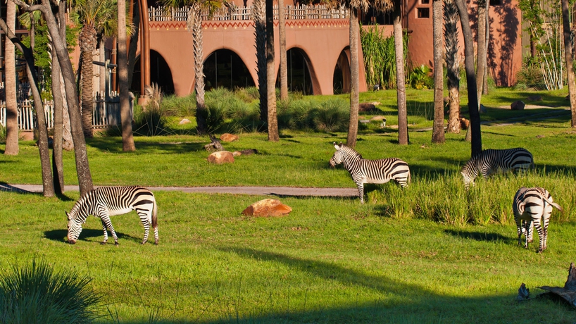Imagen de los exteriores del Hotel Disney Animal Kingdom Villas Jambo House. Foto 12