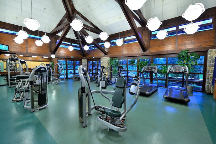 Imagen de los interiores del Hotel Disney Sequoia Lodge. Foto 18