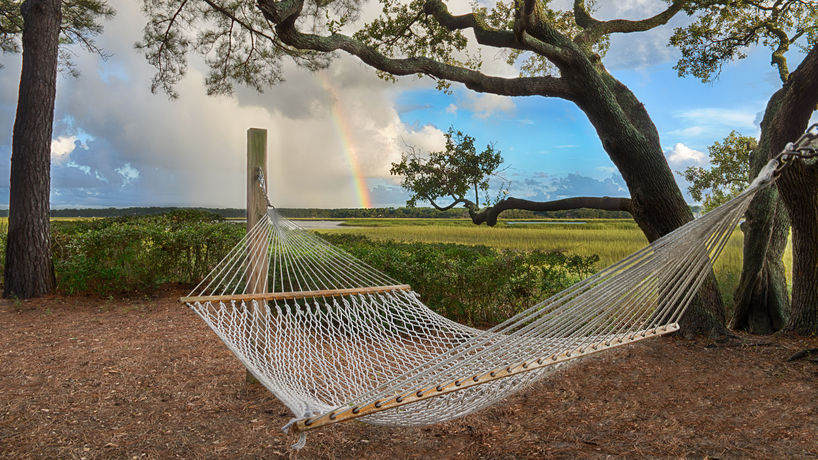 Imagen de los exteriores del Hotel Disney's Hilton Head Island Resort. Foto 9