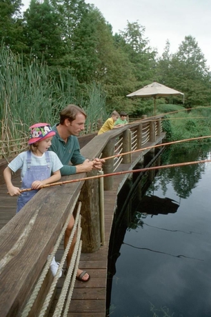 Imagen de los interiores del Hotel Disney's Port Orleans Resort French Quarter. Foto 13