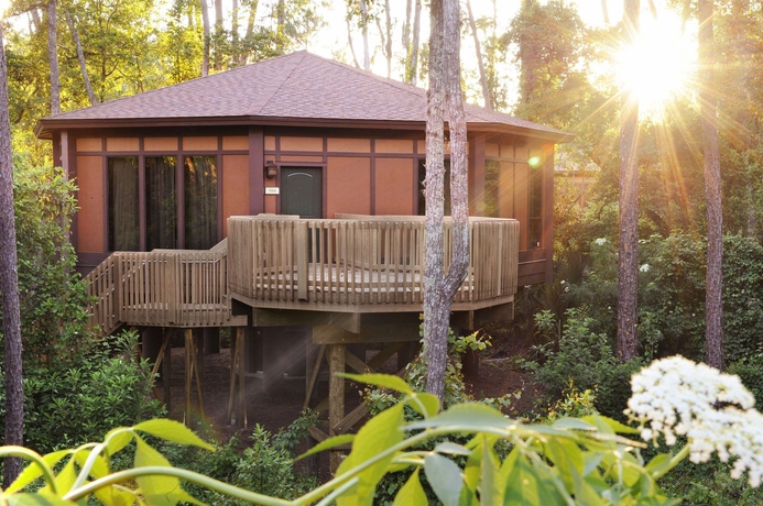 Imagen de los exteriores del Hotel Disney's Saratoga Springs Resort and Spa. Foto 4