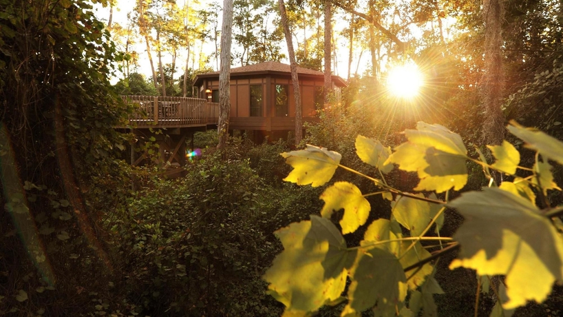 Imagen de los exteriores del Hotel Disney's Saratoga Springs Resort and Spa. Foto 7