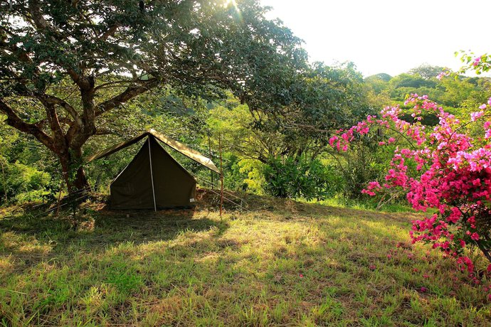 Imagen de la habitación del Hotel Distant Relatives Ecolodge and Backpackers. Foto 10