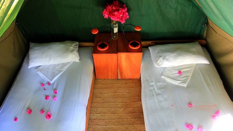 Imagen de la habitación del Hotel Distant Relatives Ecolodge and Backpackers. Foto 11