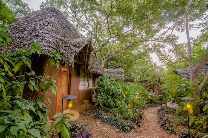 Imagen de la habitación del Hotel Distant Relatives Ecolodge and Backpackers. Foto 12