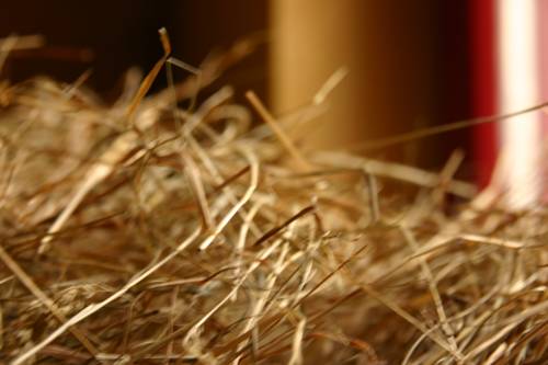 Imagen de la habitación del Hotel Dittrichs Erben. Foto 2