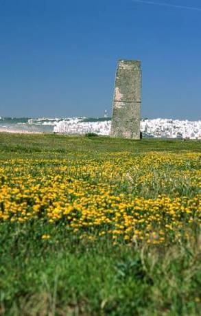 Imagen general del Hotel Diufain. Foto 11