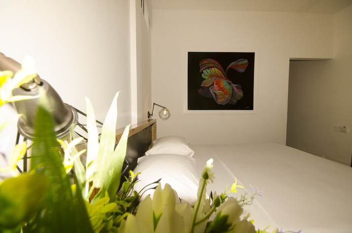 Imagen de la habitación del Hotel Divers Paradise Boutique. Foto 10
