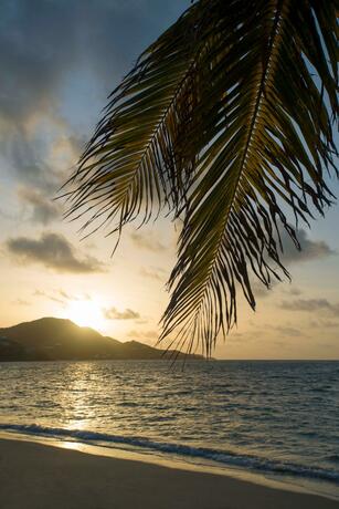 Imagen general del Hotel Divi Carina Bay Beach Resort & Casino Adult Only. Foto 29